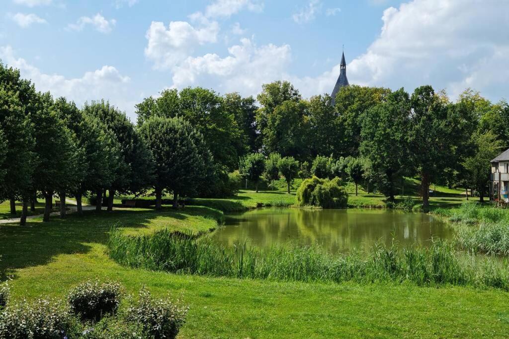 Maison Centre De Bellegarde Avec Jardin Et Terrasse Equipee D'Un Salon De Jardin Et D'Un Barbecue Cuisine Equipee 3 Chambres Avec 2 Lits Double 140X190 Et 2 Lits Simple Chauffage Poele A Granules Parking Gratuit Devant La Maison Bellegarde-du-Loiret Exterior photo